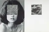 Carol Bove, Seeds