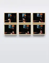 Elad Lassry, Dog, 2010, six chromogenic prints, in artist's frames