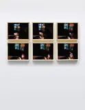 Elad Lassry, Dog, 2010, six chromogenic prints, in artist's frames