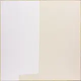 Ethan Cook, Untitled (Square, begin at one corner until complete), 2014, hand woven cotton canvas, in artist's frame