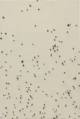 Reality Bites 2 by Lucien Smith, 2012, acrylic on unprimed canvas, sold Jun 2015