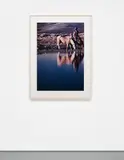 Richard Prince, Untitled (Cowboy)