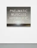 Ed Ruscha, Pneumatic Muscles Hydraulic Smiles