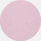 Damien Hirst, Broken Dreams, 2005, pills, household gloss paint on canvas