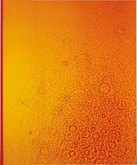 Untitled by Adam Fuss, 1990, Cibachrome photogram, flush-mounted on board, sold Oct 2015