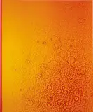 Adam Fuss, Untitled