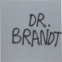 Eneas Capalbo, Dr. Brandt, 2009, sprayed acrylic on canvas