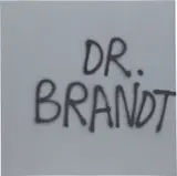 Eneas Capalbo, Dr. Brandt, 2009, sprayed acrylic on canvas