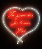 Tracey Emin, I Promise to Love You