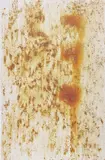 Georg Herold, Caviar, 1989, gesso, caviar and resin on linen