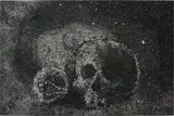 Zhang Huan, Skull No. 22