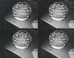 Sausage Tree by Andy Warhol, 1986, four stitched gelatine silver photographs, offered Oct 2015