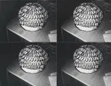 Andy Warhol, Sausage Tree, 1986, four stitched gelatine silver photographs