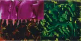 David Reed, #530, 2004-2005, oil and alkyd on linen