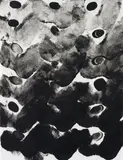 Gabriel Orozco, Rhythm (6)