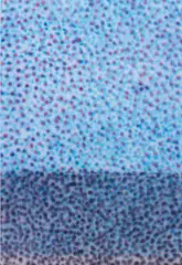 Inkjet Painting #3 by Parker Ito, 2013, inkjet on silk, sold Dec 2015