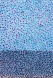 Parker Ito, Inkjet Painting #3, 2013, inkjet on silk