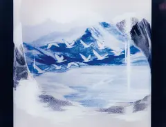 Untitled (Grey Goose) by Piotr Uklański, 1998, c-print face mounted to Plexiglas, offered Dec 2015