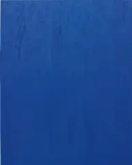 Sean Kennedy, Untitled, 2012, synthetic suede