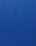 Sean Kennedy, Untitled, 2012, synthetic suede