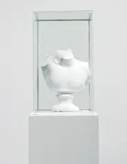 Untitled (Vitrines) by Terence Koh, 2006, mixed media sculpture, sold Dec 2015