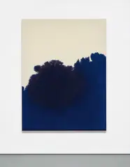 Latifa Echakhch, Sitting on Haunches Behind the Bushes Until There is No Longer Any Noise and Breathing Slowly. Then Stand Up and Walk Away, 2014, ink on canvas