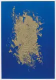 Pamela Rosenkranz, Fire and Ice (Plastic Soul), 2013, acrylic on Silk Spandex