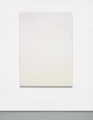 Scott Lyall, Untitled 4, 2011, grayscale, white, and color ink dispension, UV radiation on cotton