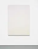 Scott Lyall, Untitled 4, 2011, grayscale, white, and color ink dispension, UV radiation on cotton