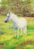Christoph Schmidberger, Horse, 2004, oil and acrylic on MDF panel
