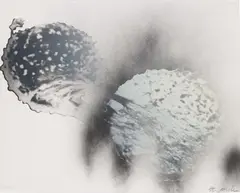 Steve Miller, Untitled, 1992, silkscreen and spray acrylic on paper
