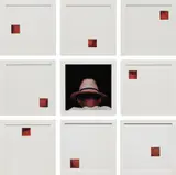 Alfredo Jaar, The Body is the Map