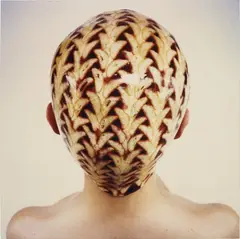 Untitled by Natacha Lesueur, 1998, c-print mounted on aluminium, sold Dec 2015