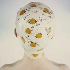 Untitled by Natacha Lesueur, 1998, c-print mounted on aluminium, sold Dec 2015