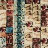 Luther Price, Meat (2), 1992, c-print