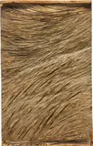 Oleksandr Zhyvotkov, Wind, 2014, wood