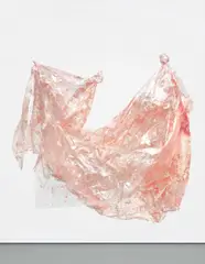 Karla Black, Pleaser, 2009, cellophane, paint, sellotape, thread