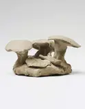 Peter Fischli and David Weiss, Einheimischer Waldboden (Indigenous Forest Floor), from Plötzlich diese Übersicht (Suddenly this Overview)