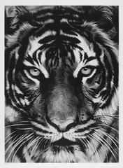Robert Longo, Tiger, 2011, Archival pigment print, on Epson hot-pressed paper, with full margins,