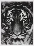 Robert Longo, Tiger, 2011, Archival pigment print, on Epson hot-pressed paper, with full margins,