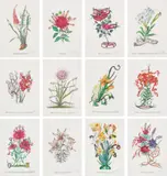 Surrealistic Flowers by Salvador Dalí, 1972, Twelve heliogravures in colours with captions from the portfolio of fifteen, on Arches paper, with full margins,, sold Jan 2015