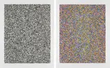 Tauba Auerbach, 50:50 Random (Fine); and A Half Times A Half Times A Half (Coarse), 2008, Two etchings with aquatint in colours, on Somerset paper, with full margins,