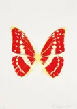 Damien Hirst, The Souls III: one plate, 2010, Foil-block print in colours, on Arches 88 paper, with full margins,