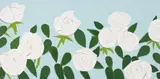 Alex Katz, White Roses, 2014, Screenprint in colours, on Saunders Waterford HP High White paper, the full sheet,