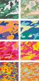 Andy Warhol, Camouflage, 1987, The complete set of eight screenprints in colours (some fluorescent), on Lenox Museum Board, the full sheets,