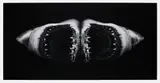 Robert Longo, Double Shark