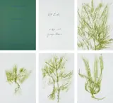 Giuseppe Penone, Trentatré Erbe (Thirty-three Herbs), 1989, The complete portfolio of 33 lithographs in colours, on wove paper, the full sheets, with title page,