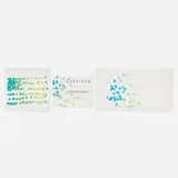 Three plates from the Cuvaison Chardonnay portfolio by Andy Warhol, 1980, screenprint in colors, sold Jan 2025
