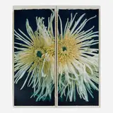 Chuck Close, Fuji Mums