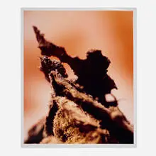 Andres Serrano, Heroic Shit, 2007, unique C-print